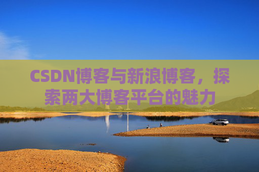 CSDN博客与新浪博客，探索两大博客平台的魅力