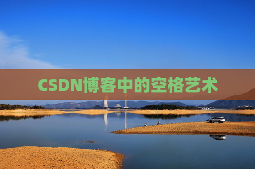 CSDN博客中的空格艺术